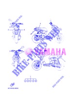 AUFKLEBER für Yamaha EW50N 2013