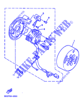 ZÜNDUNG für Yamaha TT250 1990