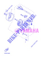ZÜNDUNG für Yamaha CW50 2013