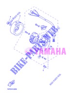 ZÜNDUNG für Yamaha BWS EASY 2013