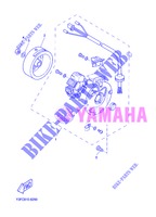 ZÜNDUNG für Yamaha BOOSTER NAKED 2013