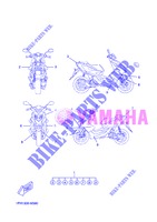 AUFKLEBER für Yamaha NS50 2013