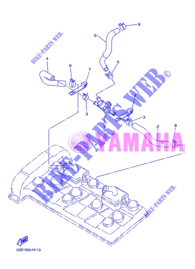 EINLASS für Yamaha DIVERSION 600 F 2013