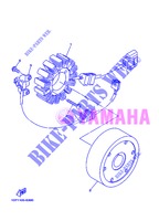 ZÜNDUNG für Yamaha MIDNIGHT STAR 1900 2013