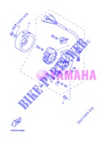 ZÜNDUNG für Yamaha EW50N 2013
