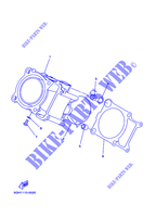 ZYLINDER für Yamaha GRIZZLY 450 IRS INDEPENDANT REAR SUSPENSION 2016