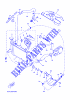 KÜHLER / SCHLÄUCHE für Yamaha YZF-R 125 ABS 2015