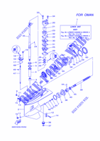 UNTERES GEHÄUSE UND ANTRIEB 2 für Yamaha E60H Manual Starter, Tiller Handle, Hydro Trim & Tilt, Pre-Mixing, Shaft 25