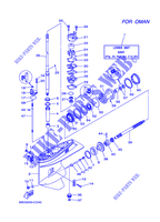 UNTERES GEHÄUSE UND ANTRIEB 2 für Yamaha E60H Enduro, Manual Starter, Tiller Handle, Hydro Trim & Tilt, Pre-Mixing, Shaft 15