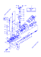 UNTERES GEHÄUSE UND ANTRIEB 1 für Yamaha F50T Electric Starter, Remote Control, Power Trim & Tilt, Shaft 20