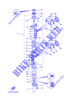 KURBELWELLE / KOLBEN für Yamaha E15D Enduro, Manual Starter, Tiller Handle, Manual Tilt, Pre-Mixing 2003