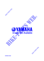 ALTERNATIVE MOTOR  für Yamaha PHAZER MOUNTAIN LITE 1998