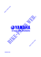 ALTERNATIVE ZUM ANTRIEB für Yamaha PHAZER MOUNTAIN LITE 1999