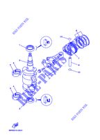 KURBELWELLE / KOLBEN für Yamaha F8C Manual Starter, Tiller Handle, Manual Tilt, Shaft 20