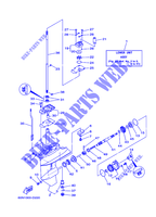 PROPELLER GEHÄUSE UND GETRIEBE 1 für Yamaha F8C Manual Starter, Tiller Handle, Manual Tilt, Shaft 20