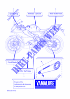 VERSCHLEISSTEILE für Yamaha YZF-R125 2023