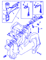 KIPPSYSTEM MOTOR für Yamaha 60F Electric Start, Remote Control, Manual Tilt or Power Trim & Tilt , Oil injection 1990