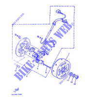 ZÜNDUNG für Yamaha TZR80 1987