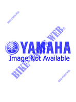VERGASER für Yamaha YP125 1999